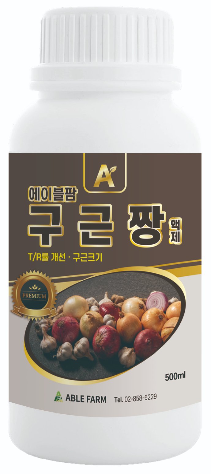 구근짱