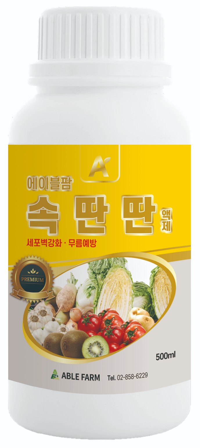 속딴딴