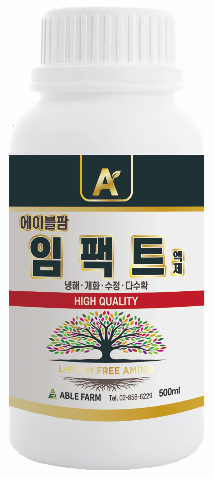 임팩트