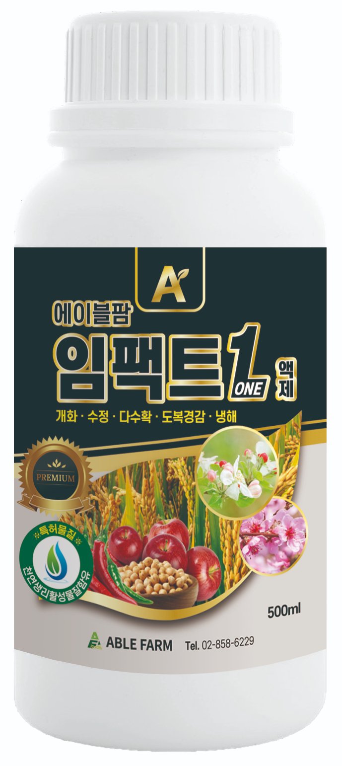 임팩트원