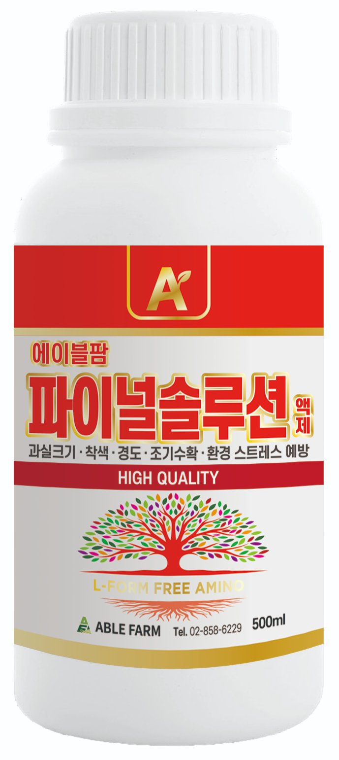 파이널솔루션